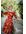 Topvintage Exclusive ~ Adriana Swing jurk met lange mouwen en bloemen in bordeaux