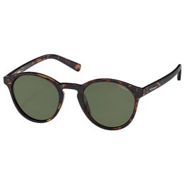 Sunglasses PLD1013