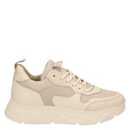 Pitty dad sneakers
