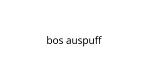 Bos Auspuff