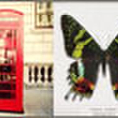 Editor&#8217;s tips: Londen, vlinders &#038; Tinder